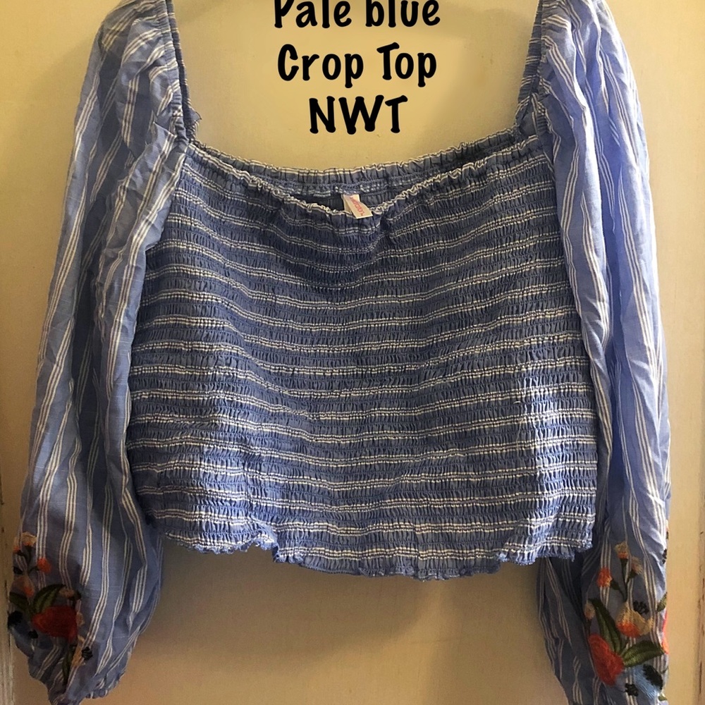 Exhilarations Pale blue Crop Top